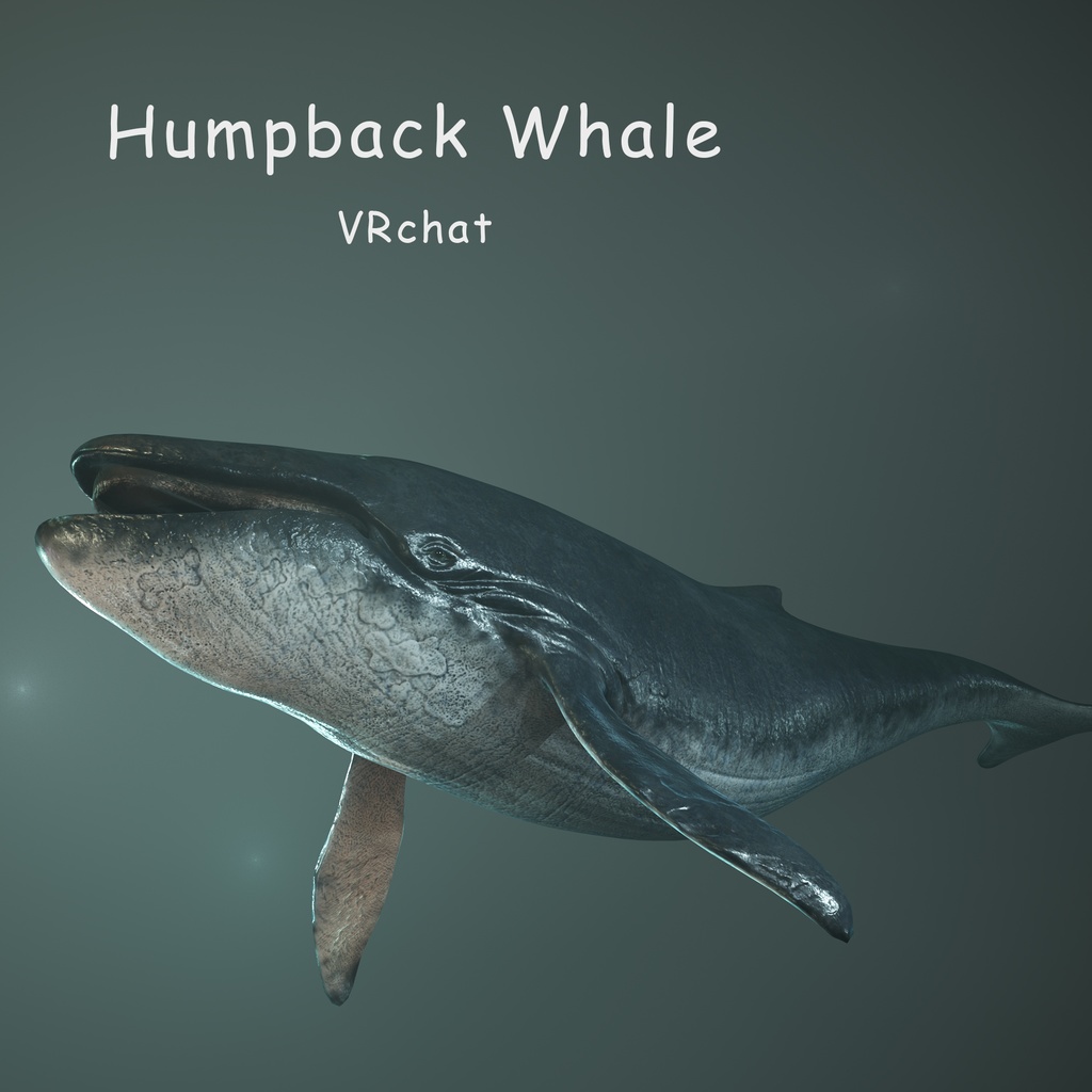 3Dモデル ザトウクジラ