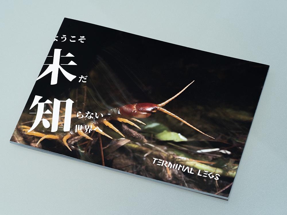 ようこそ 未だ知らない世界へ