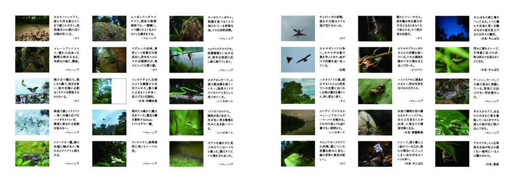 ようこそ 未だ知らない世界へ