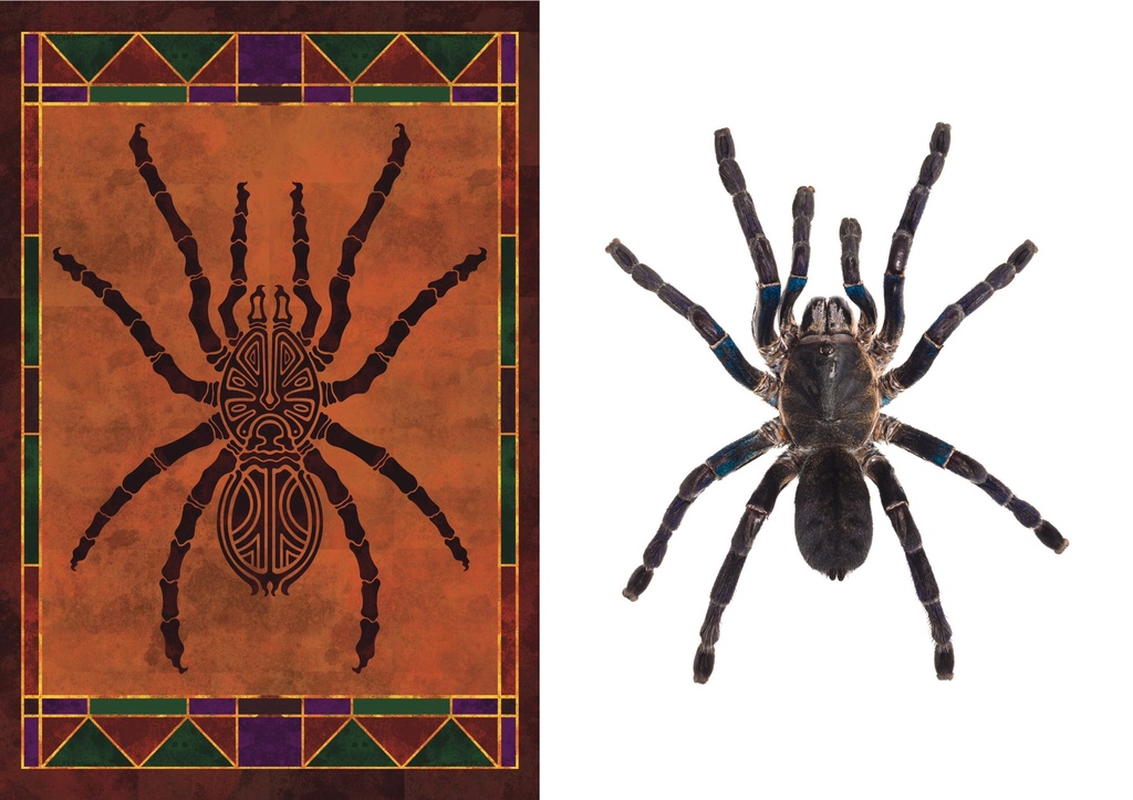 朽縄先生×Terminal Legs コラボ ヨロイオオムカデ/タランチュラ/ヒヨケムシ