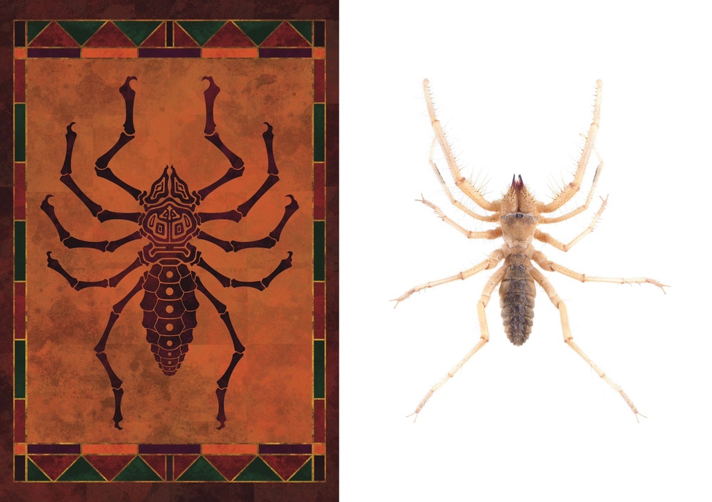 朽縄先生×Terminal Legs コラボ ヨロイオオムカデ/タランチュラ/ヒヨケムシ