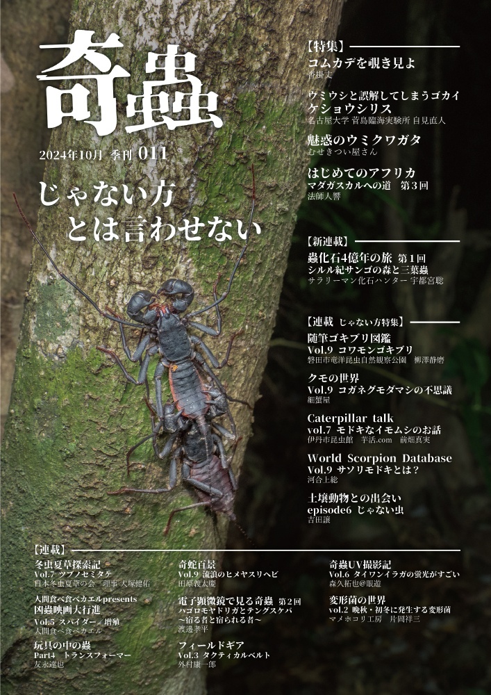 雑誌 季刊奇蟲