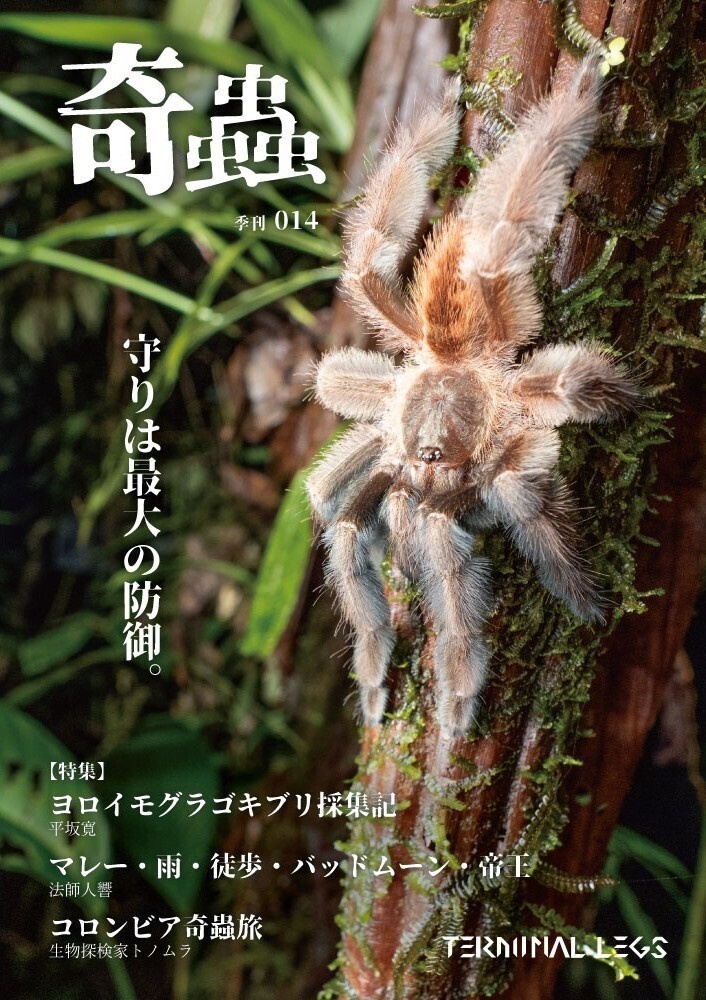 雑誌 季刊奇蟲