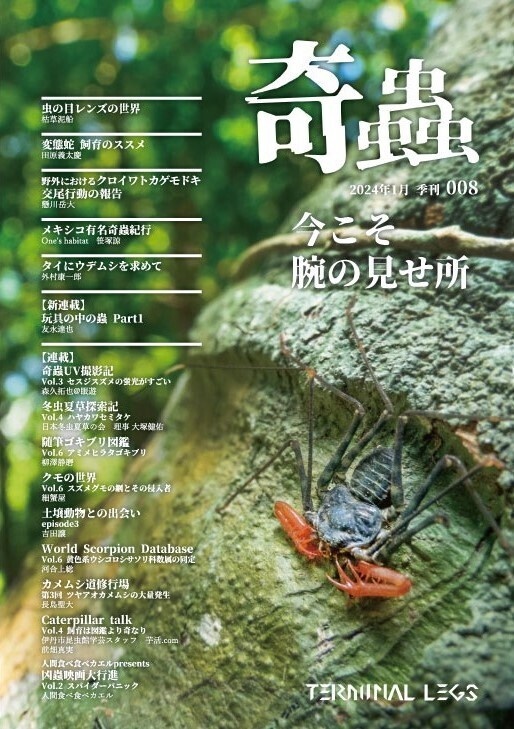 雑誌 季刊奇蟲