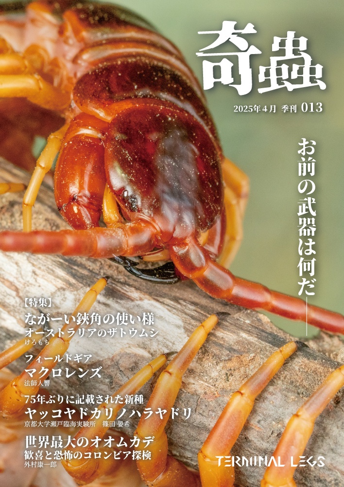雑誌 季刊奇蟲
