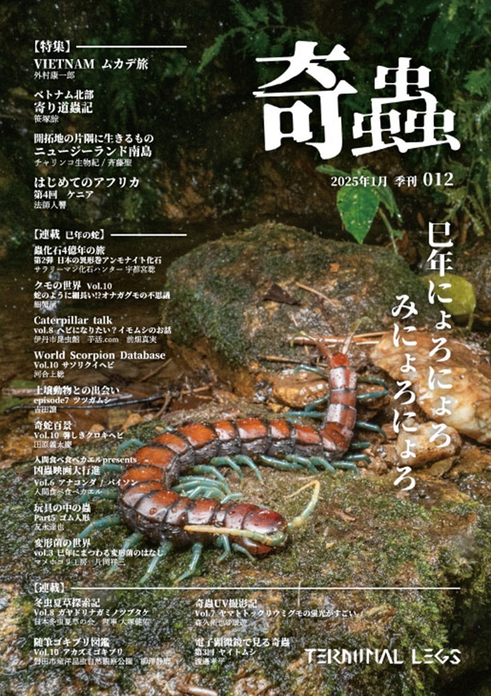 雑誌 季刊奇蟲