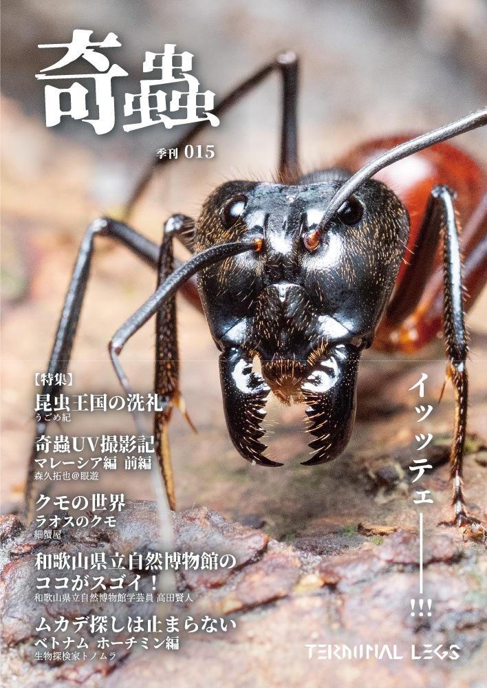 雑誌 季刊奇蟲