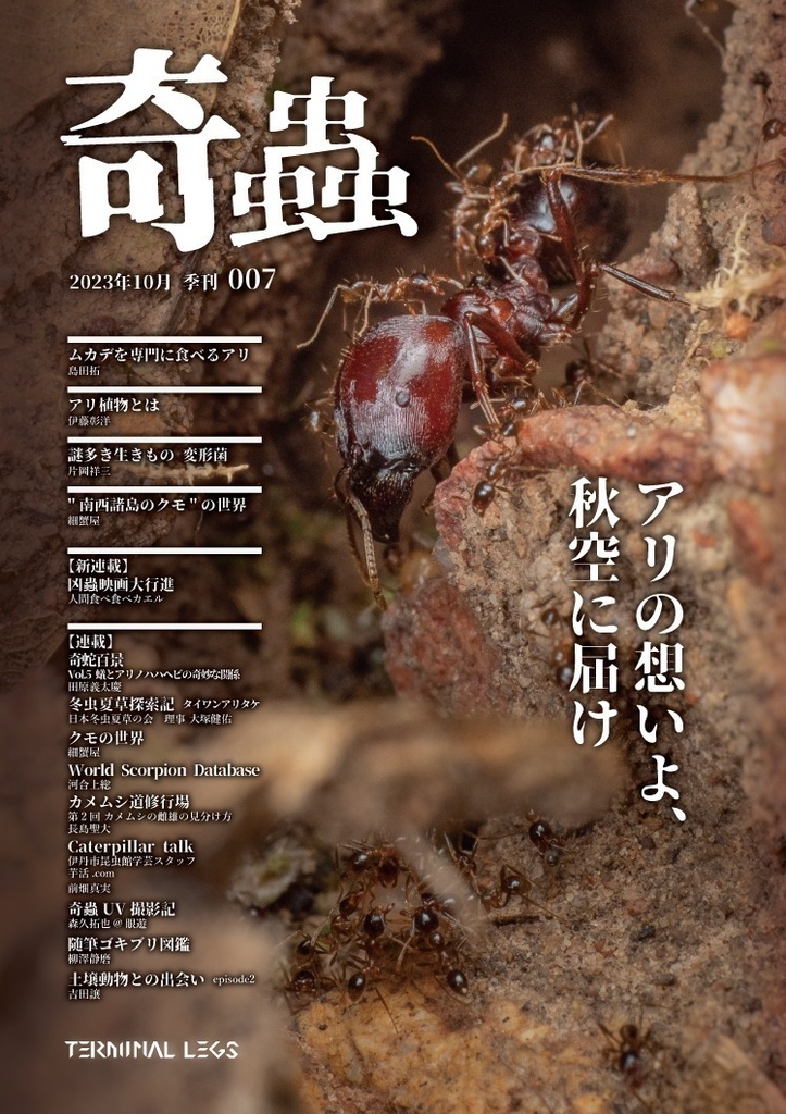 雑誌 季刊奇蟲
