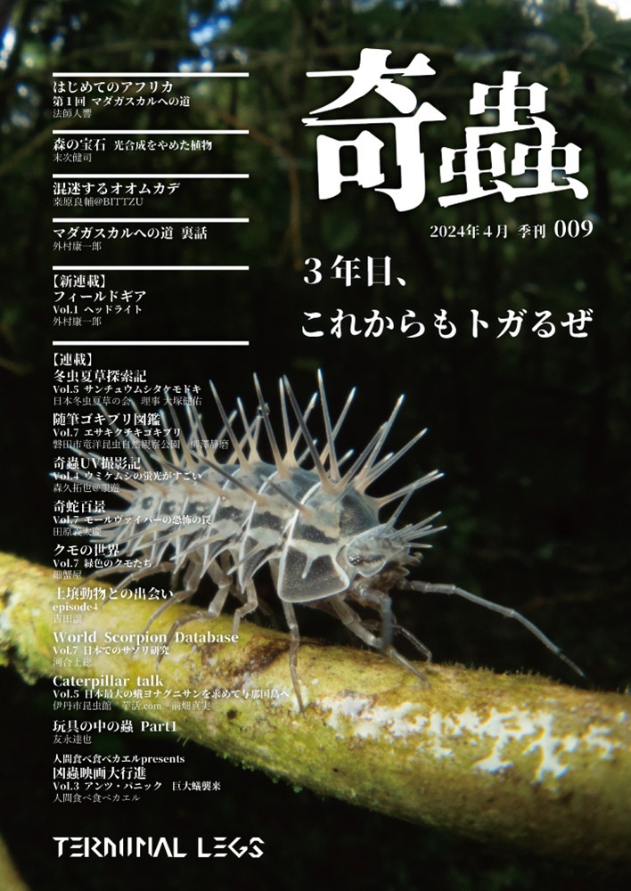 雑誌 季刊奇蟲