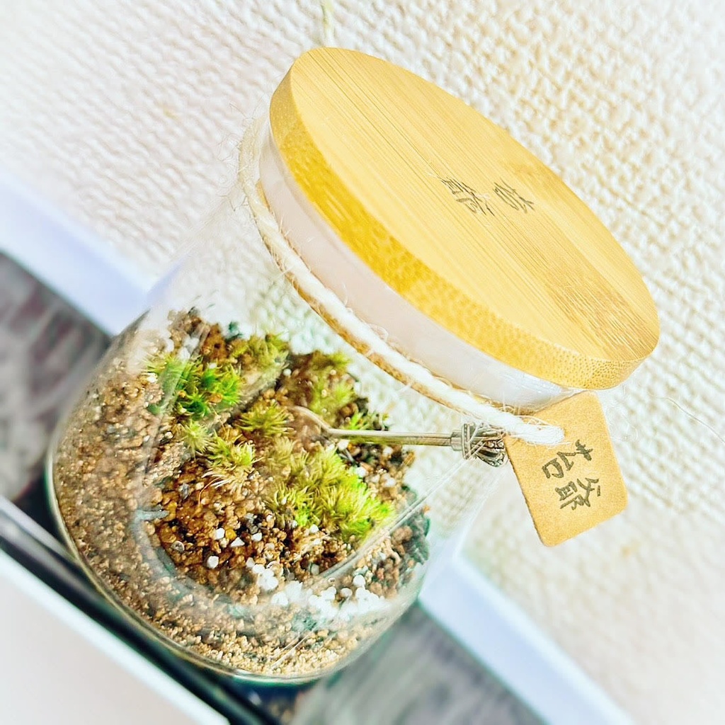 苔爺〈苔テラリウム〉