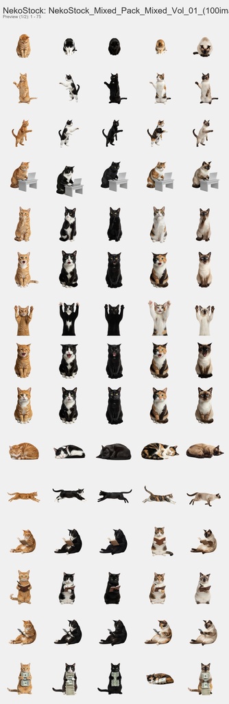 NekoStock　No1～40　5猫種セット 200枚