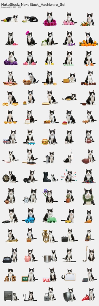 NekoStock ハチワレ コンプリートセット 365枚