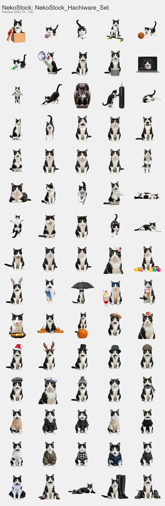 NekoStock ハチワレ コンプリートセット 365枚