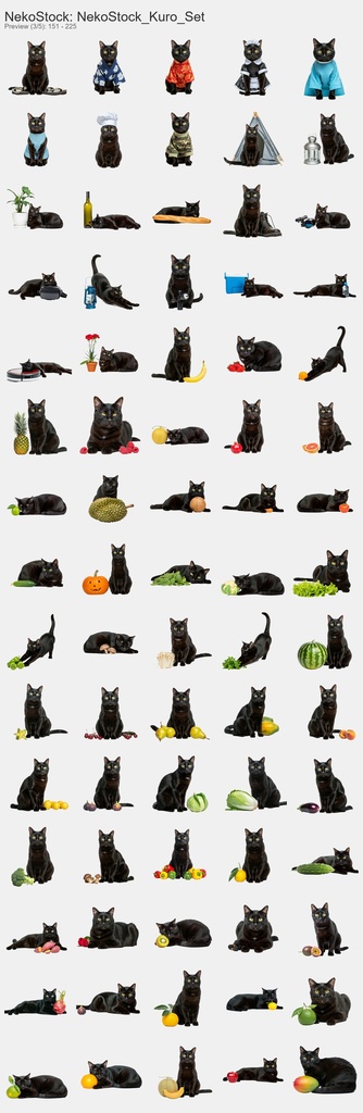 NekoStock 黒猫 コンプリートセット 359枚