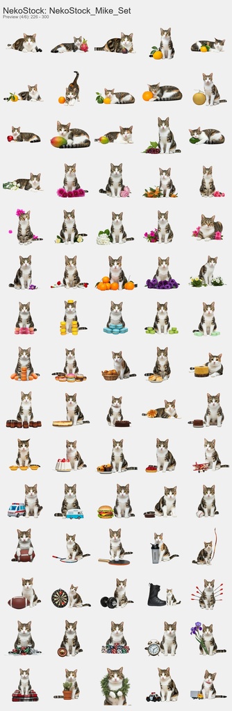 NekoStock 三毛猫 コンプリートセット 390枚