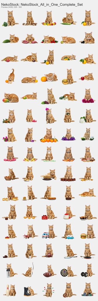NekoStock 猫5種 コンプリートセット 1894枚