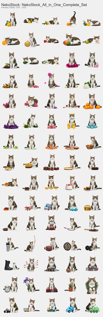 NekoStock 猫5種 コンプリートセット 1894枚