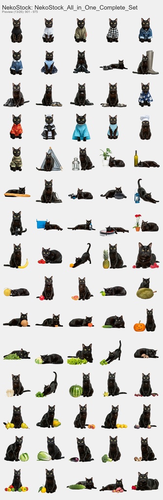 NekoStock 猫5種 コンプリートセット 1894枚