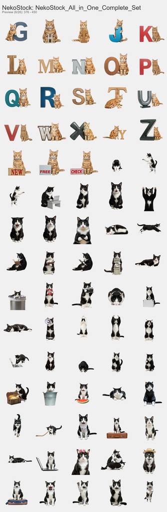 NekoStock 猫5種 コンプリートセット 1894枚