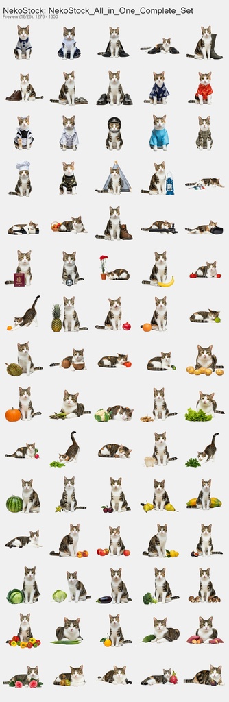 NekoStock 猫5種 コンプリートセット 1894枚