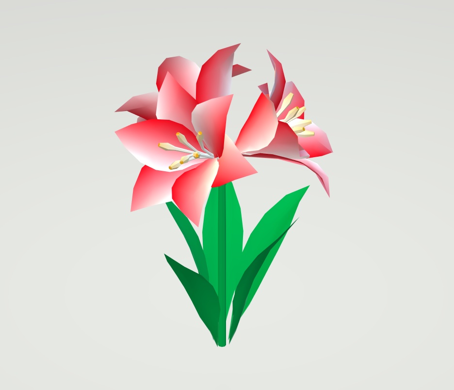 Amaryllis 3D