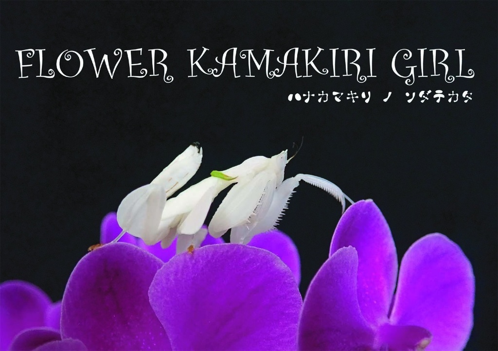 FLOWER KAMAKIRI GIRL-ハナカマキリ ノ ソダテカタ-