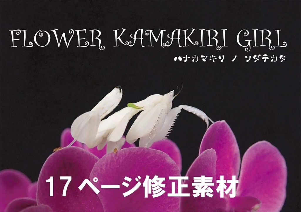 FLOWER KAMAKIRI GIRL 修正ページ