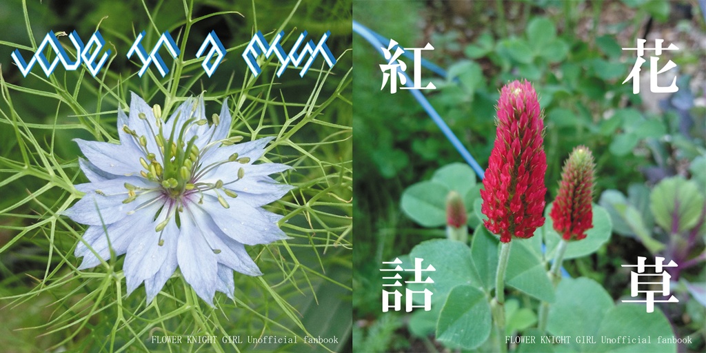 Love In A Mist 紅花詰草 ひのきぐらし Booth Booth