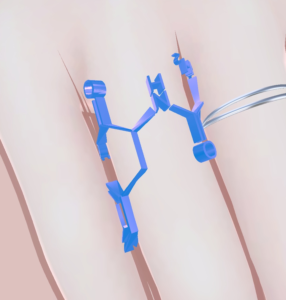 【Vketセール】C14H18N2O5 分子アクセサリー 人工甘味料リング+α