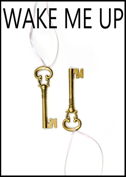 WAKE ME UP