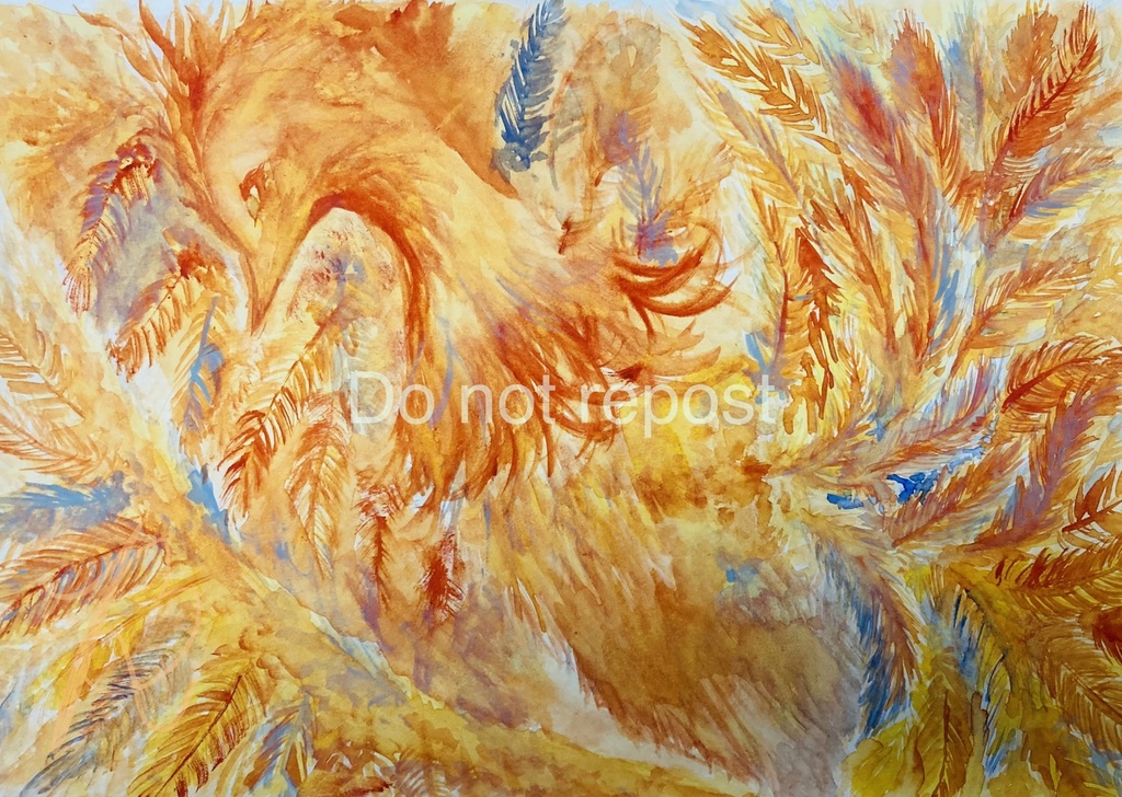 ⭐️ご購入前、ご覧ください【注意点】【お知らせ】