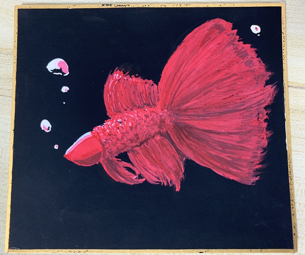 赤いベタの色紙 ラノ Booth