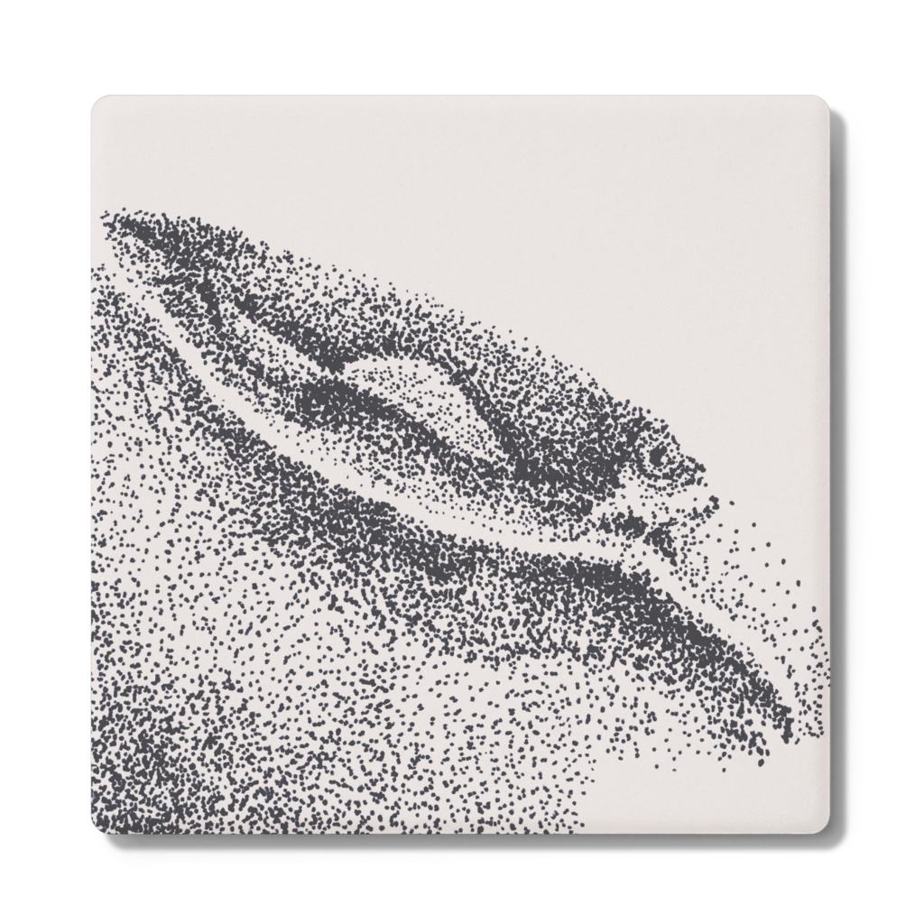 イカのコースター