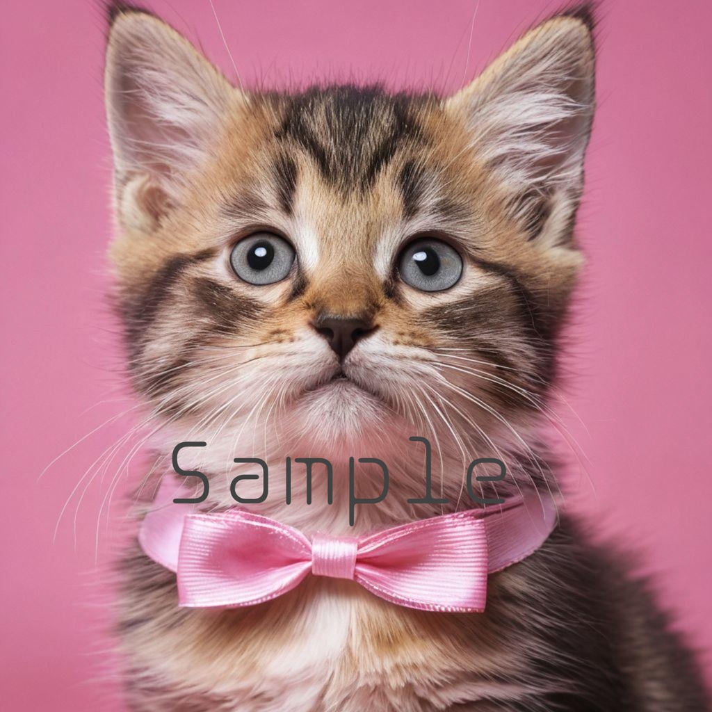子猫、リボン🎀画像