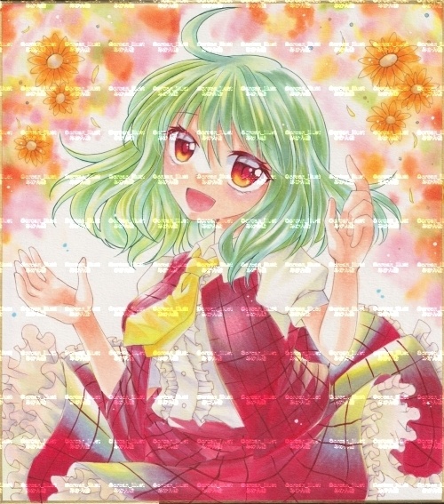東方手描きイラスト原画　風見幽香１