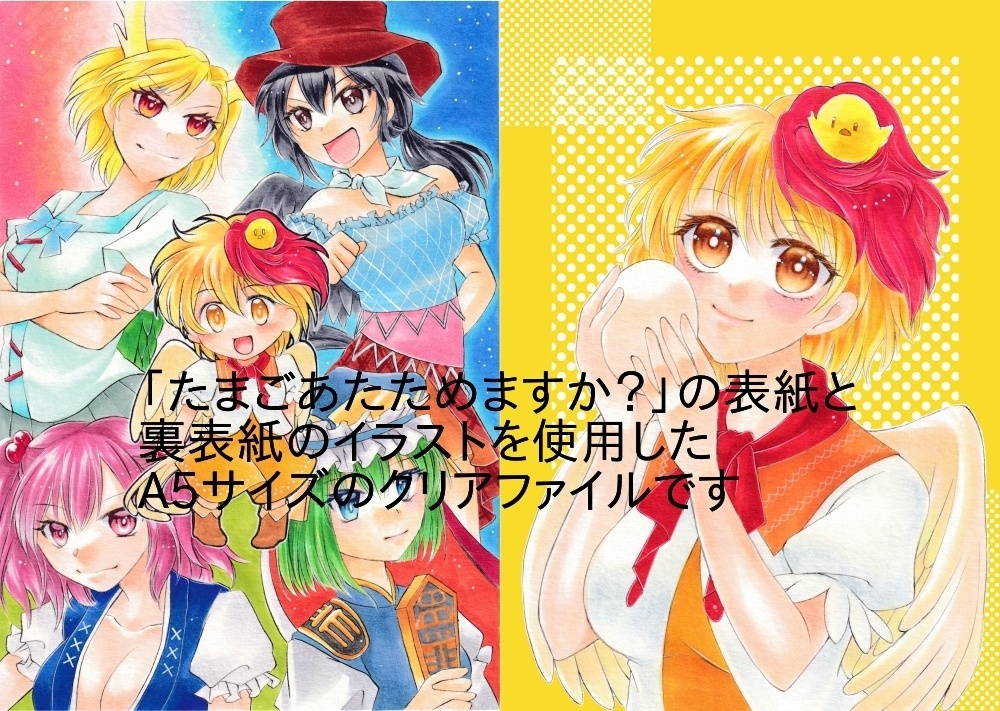 東方project☆庭渡久侘歌A5クリアファイル