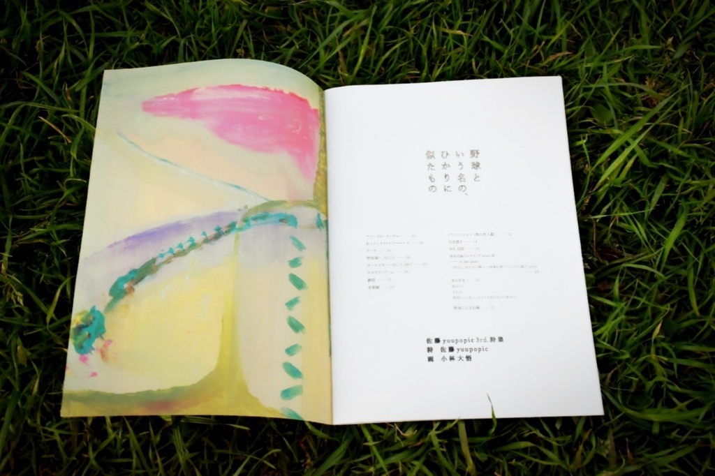 佐藤yuupopic 3rd.詩集『野球という名の、ひかりに似たもの』