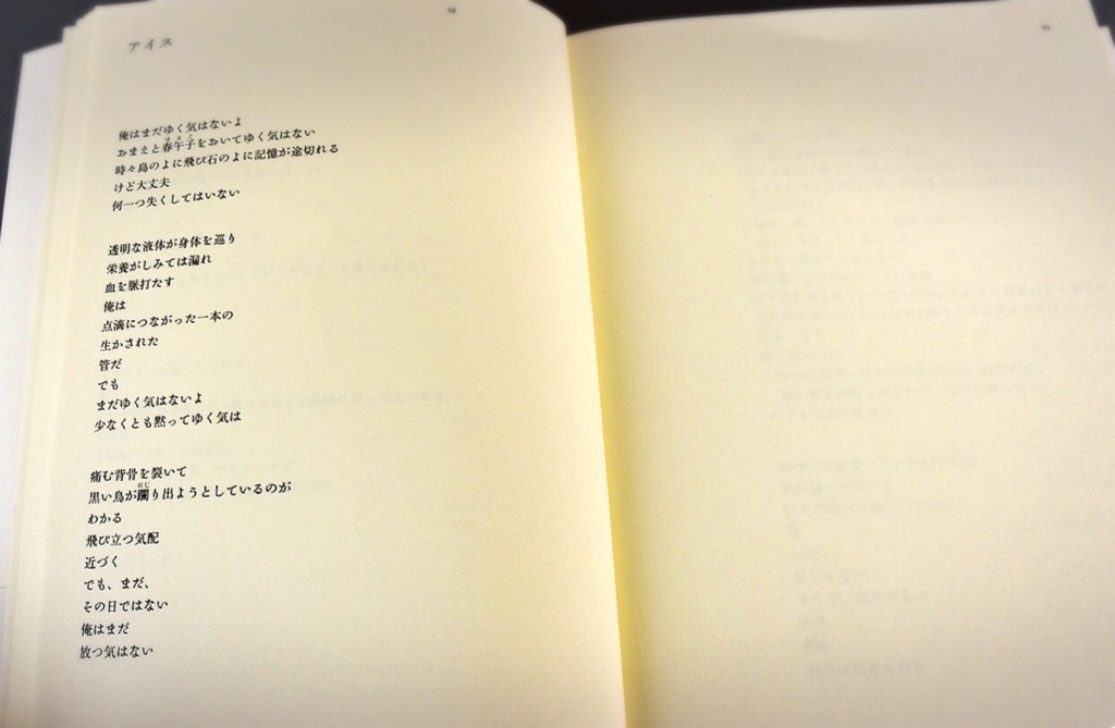 佐藤yuupopic 1st. 詩集『トランジッション』