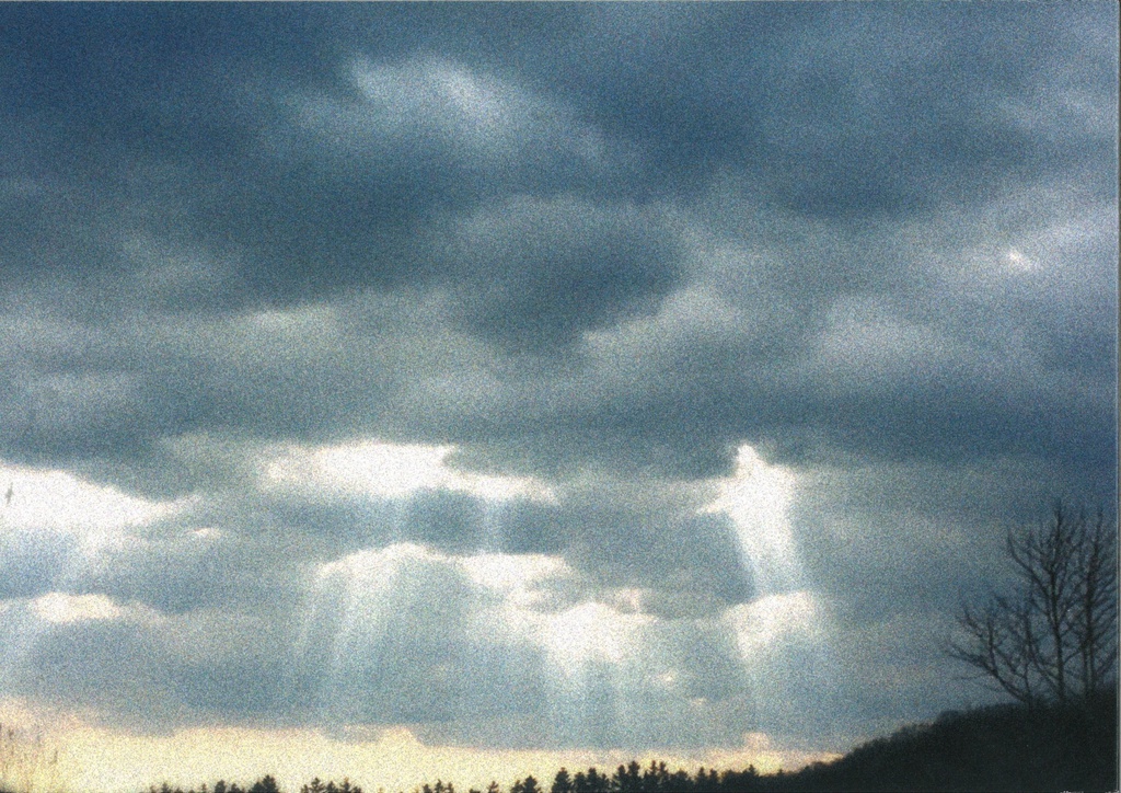 佐藤yuupopic 2nd. 詩集『球春礼賛2017』