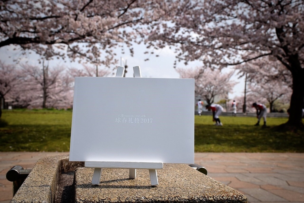 佐藤yuupopic 2nd. 詩集『球春礼賛2017』