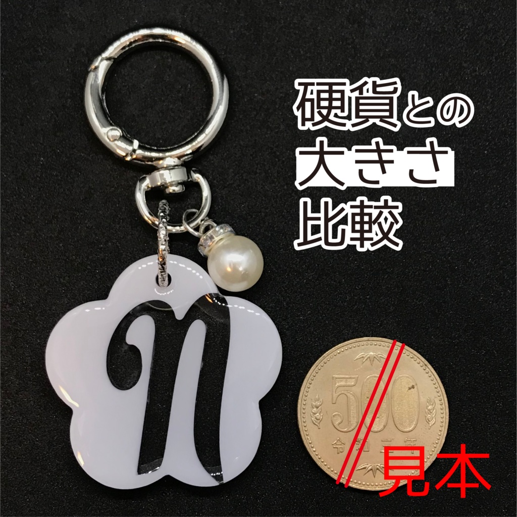 ネス さん メンカラーイメージキーホルダー (おはなイニシャル)