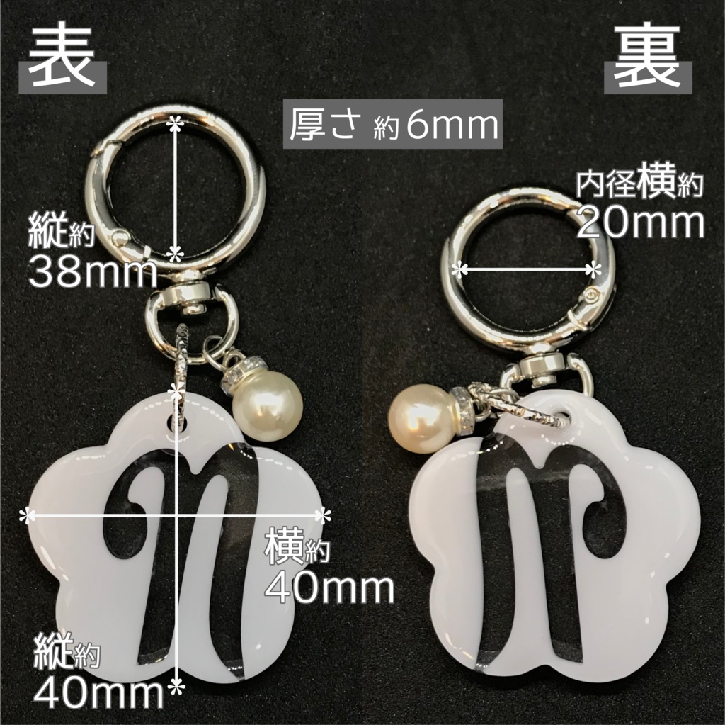 ネス さん メンカラーイメージキーホルダー (おはなイニシャル)