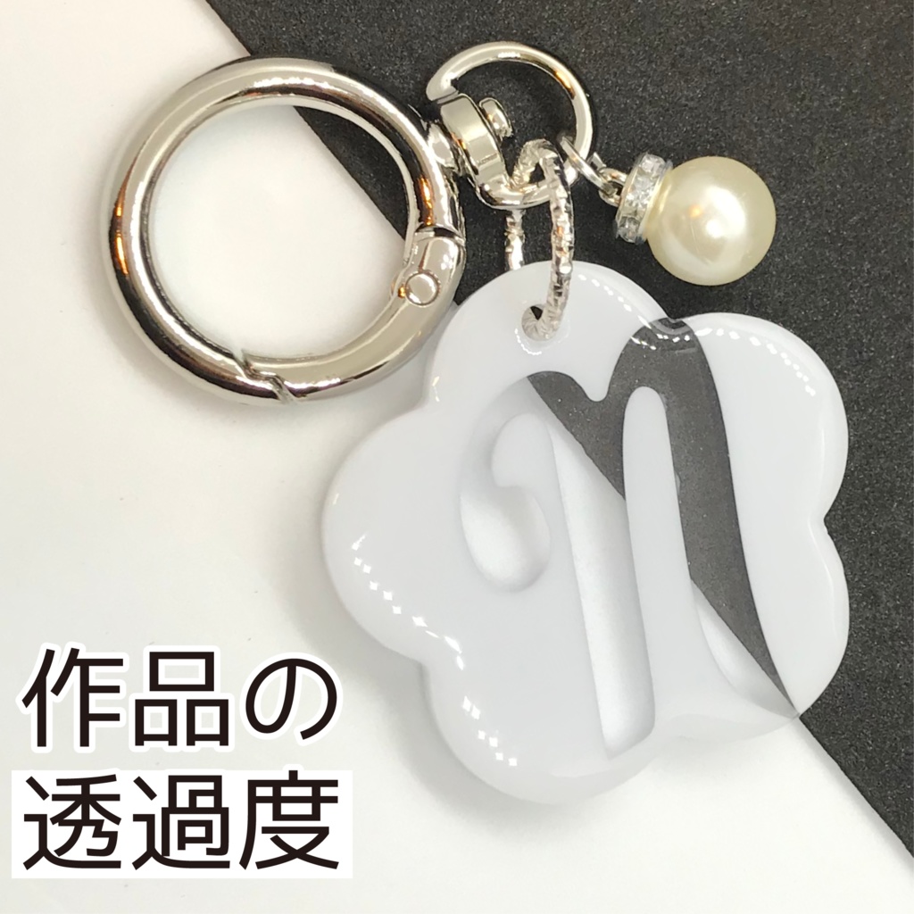 ネス さん メンカラーイメージキーホルダー (おはなイニシャル)