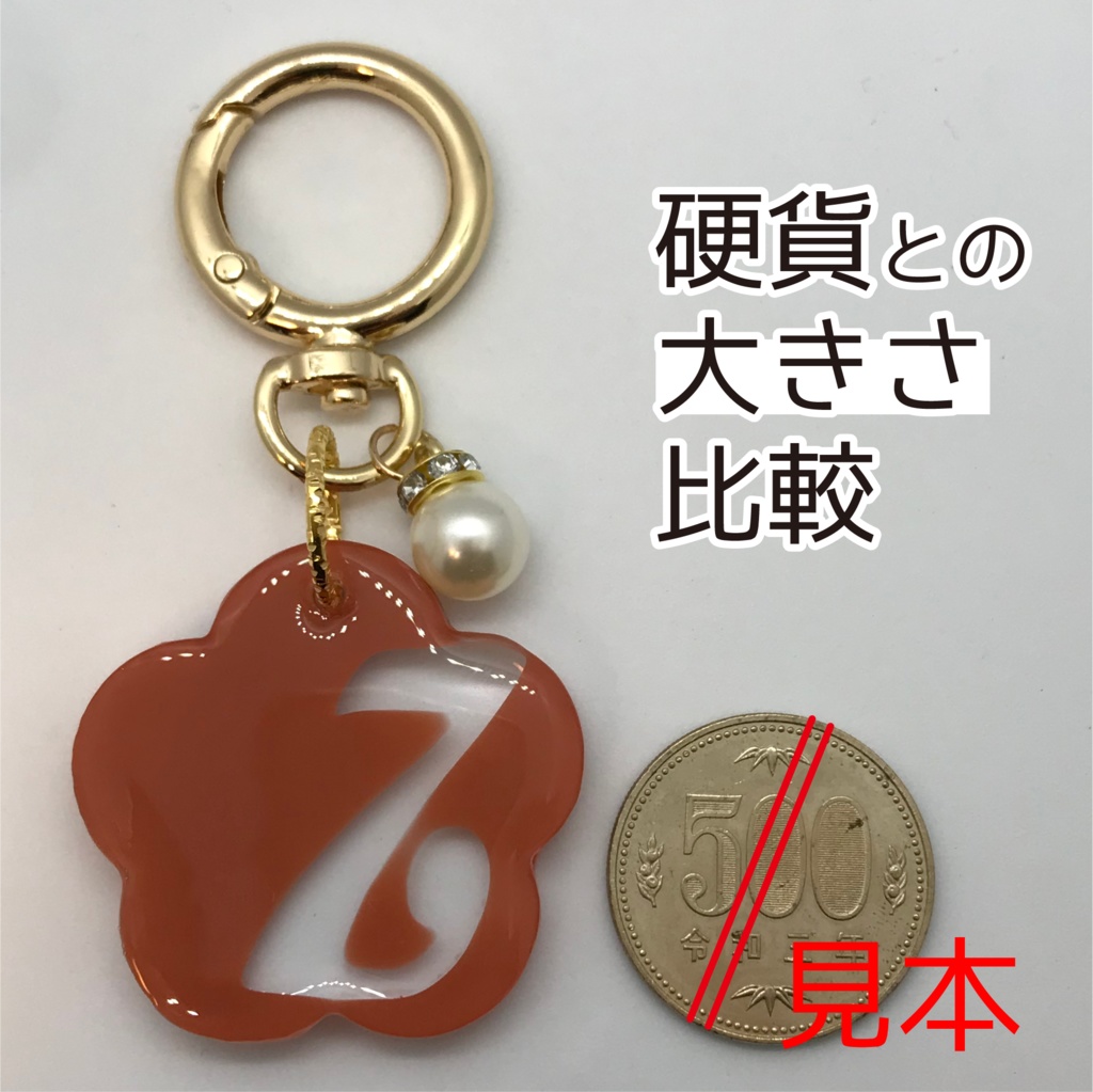 ゾマ さん メンカラーイメージキーホルダー (おはなイニシャル)