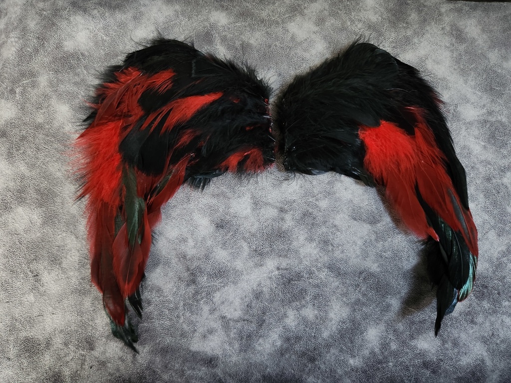 羽根 ー レッド✕ブラック ー