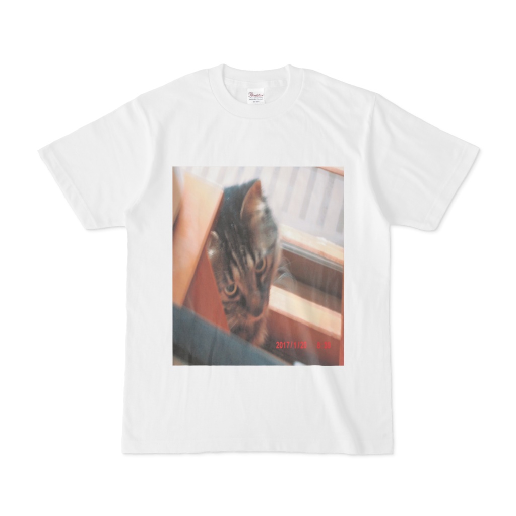 ネコTシャツ
