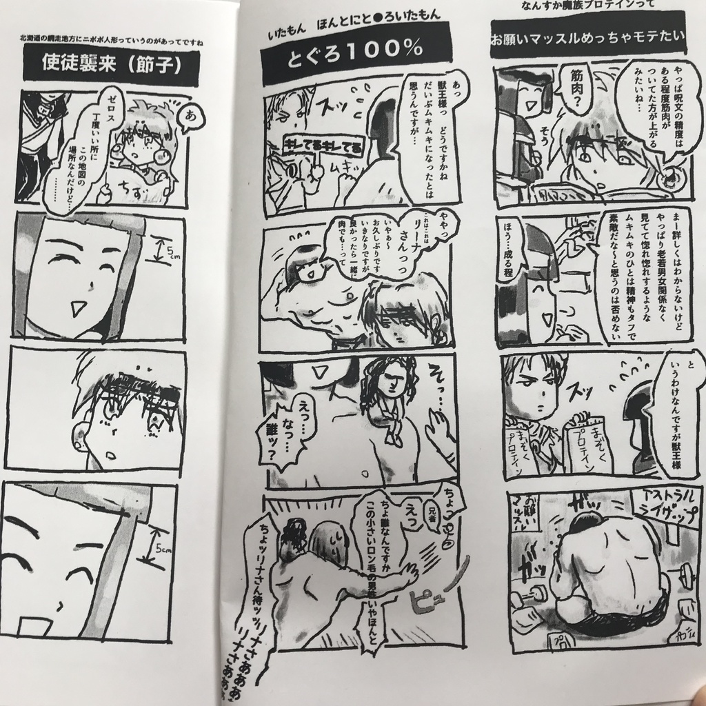 ゼロリナおもしろ四コマ コピー本 3冊セット