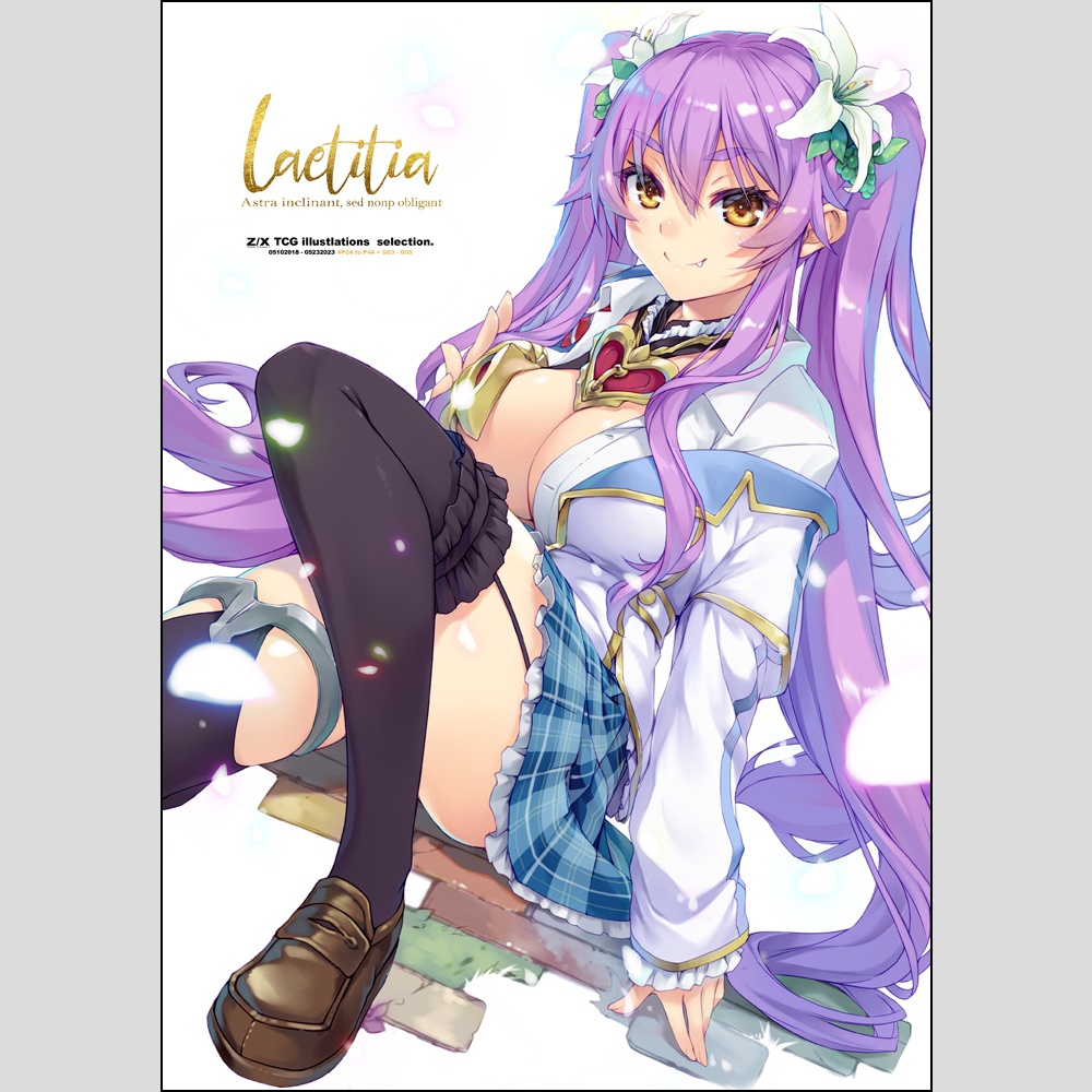 laetitia -ラエティティア-【Z/X画集】📕