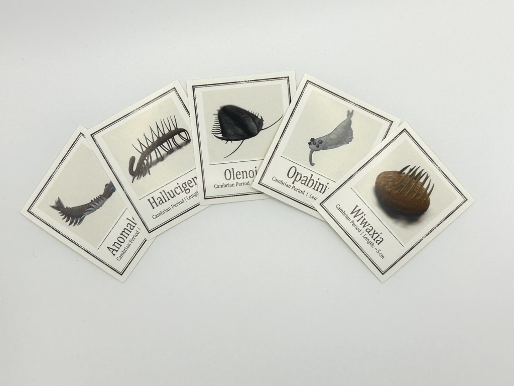 【カンブリア紀の生物】ステッカーセット