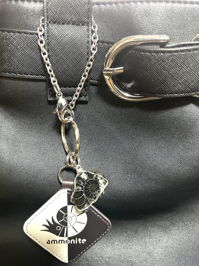 アンモナイトバッグチャーム